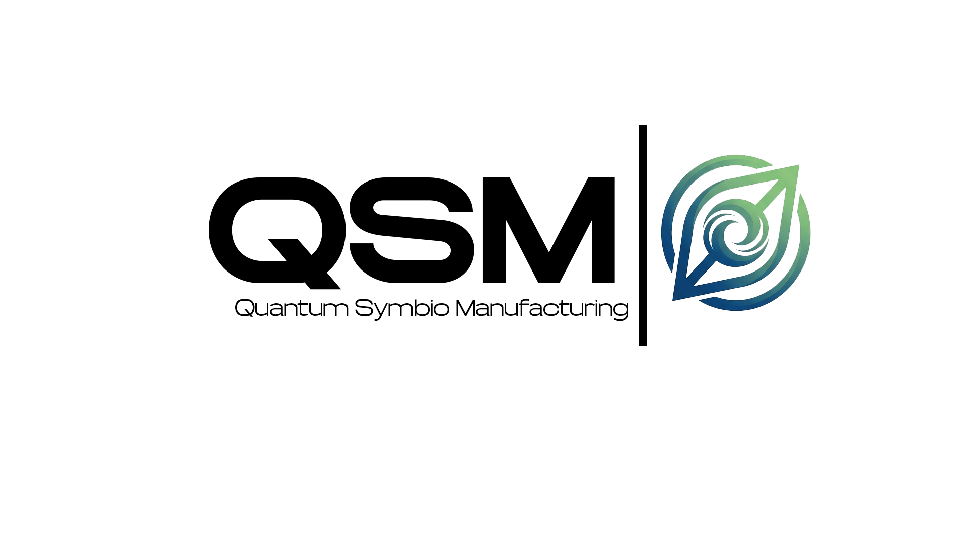 QSM Logo